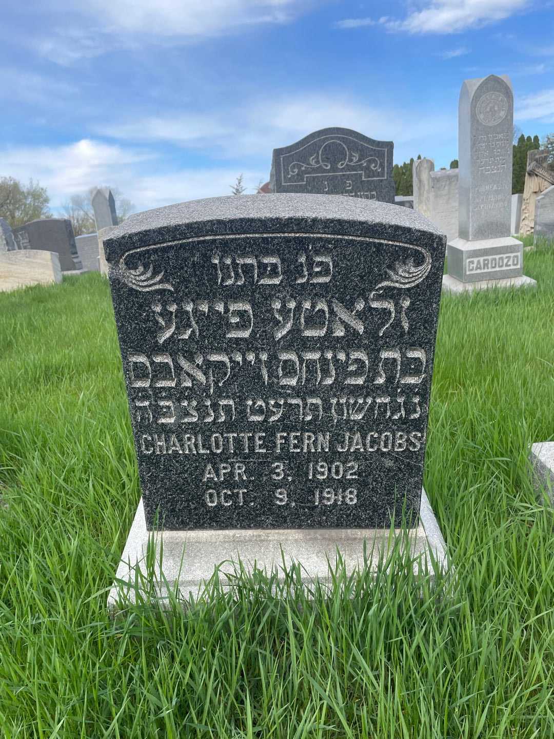 Charlotte Fern Jacobs's grave. Photo 1