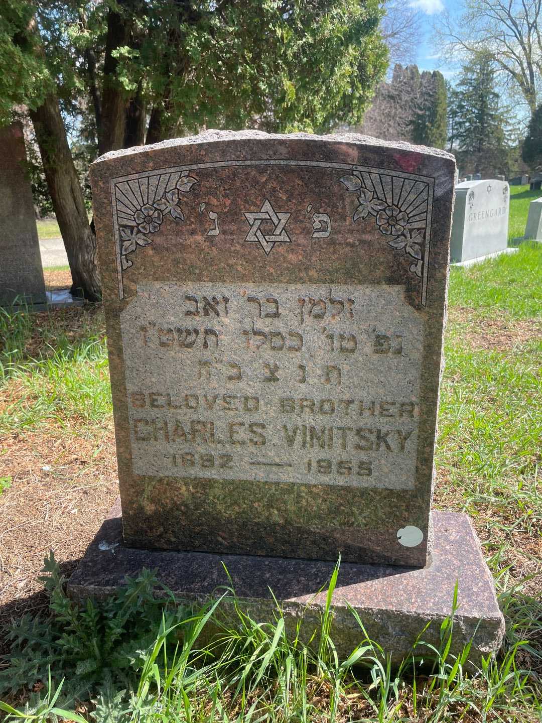 Charles Vinitsky's grave. Photo 3