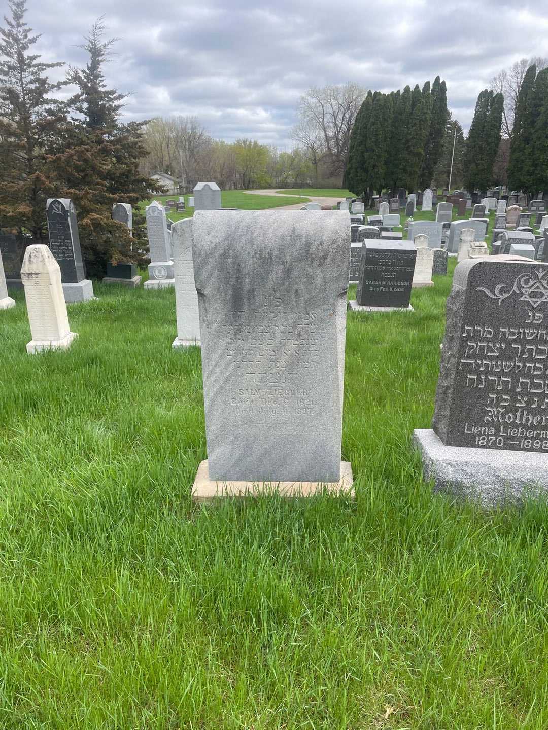 Saly Ziegler's grave. Photo 2