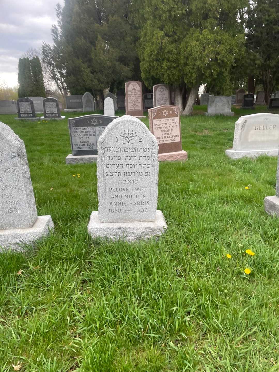 Fannie Harris's grave. Photo 2