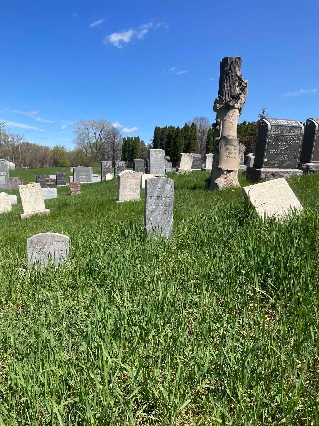 Evelyn Alpert's grave. Photo 2