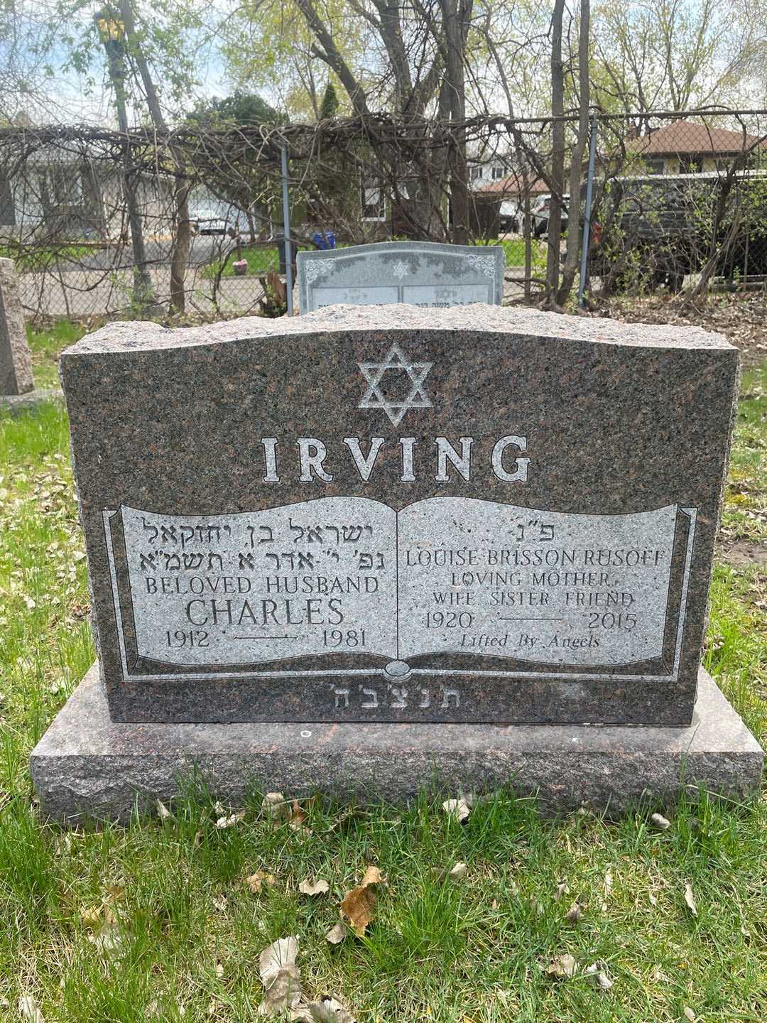 Charles Irving's grave. Photo 1