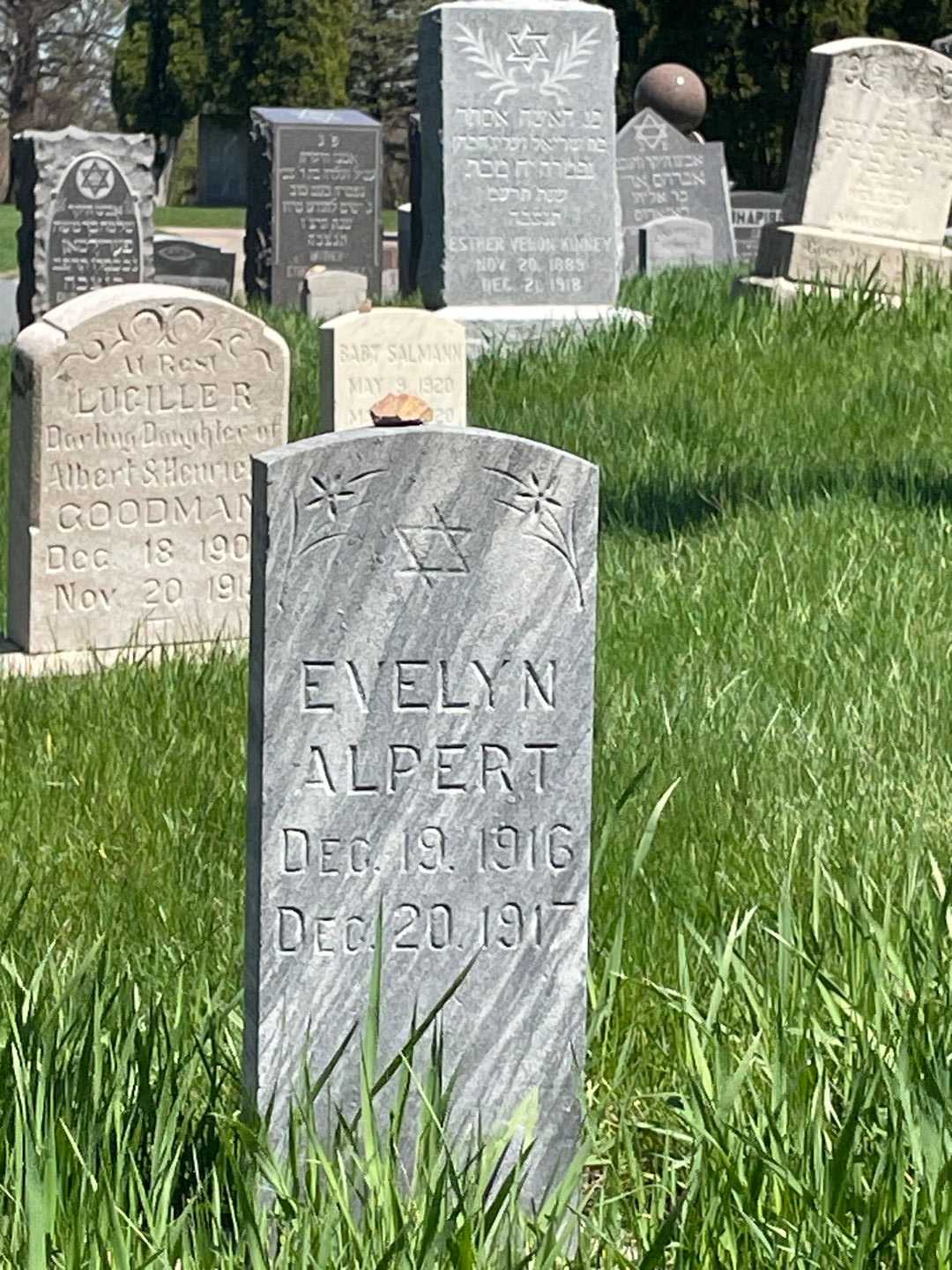 Evelyn Alpert's grave. Photo 1