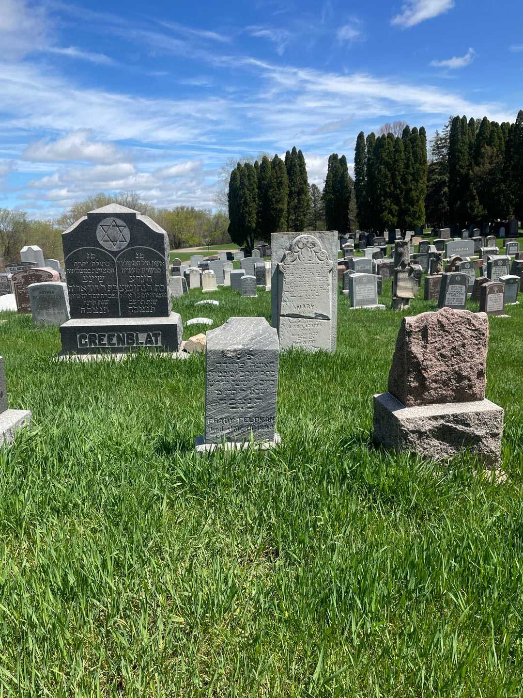 Frady Feldman's grave. Photo 2