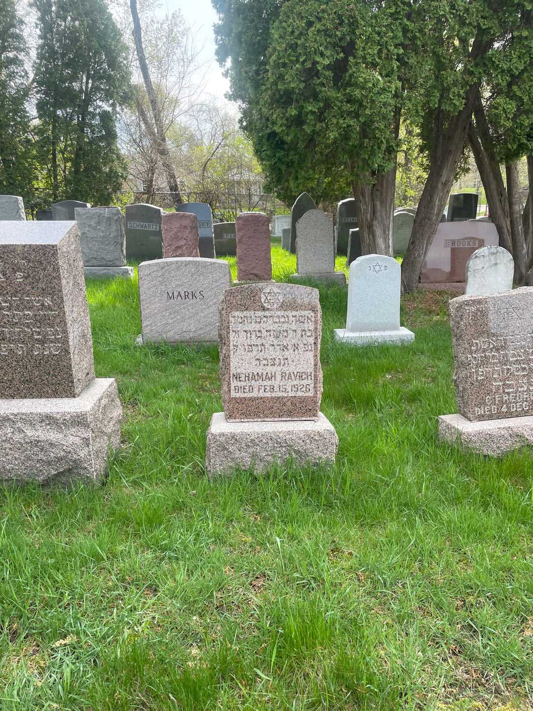 Nehamah Ravich's grave. Photo 2