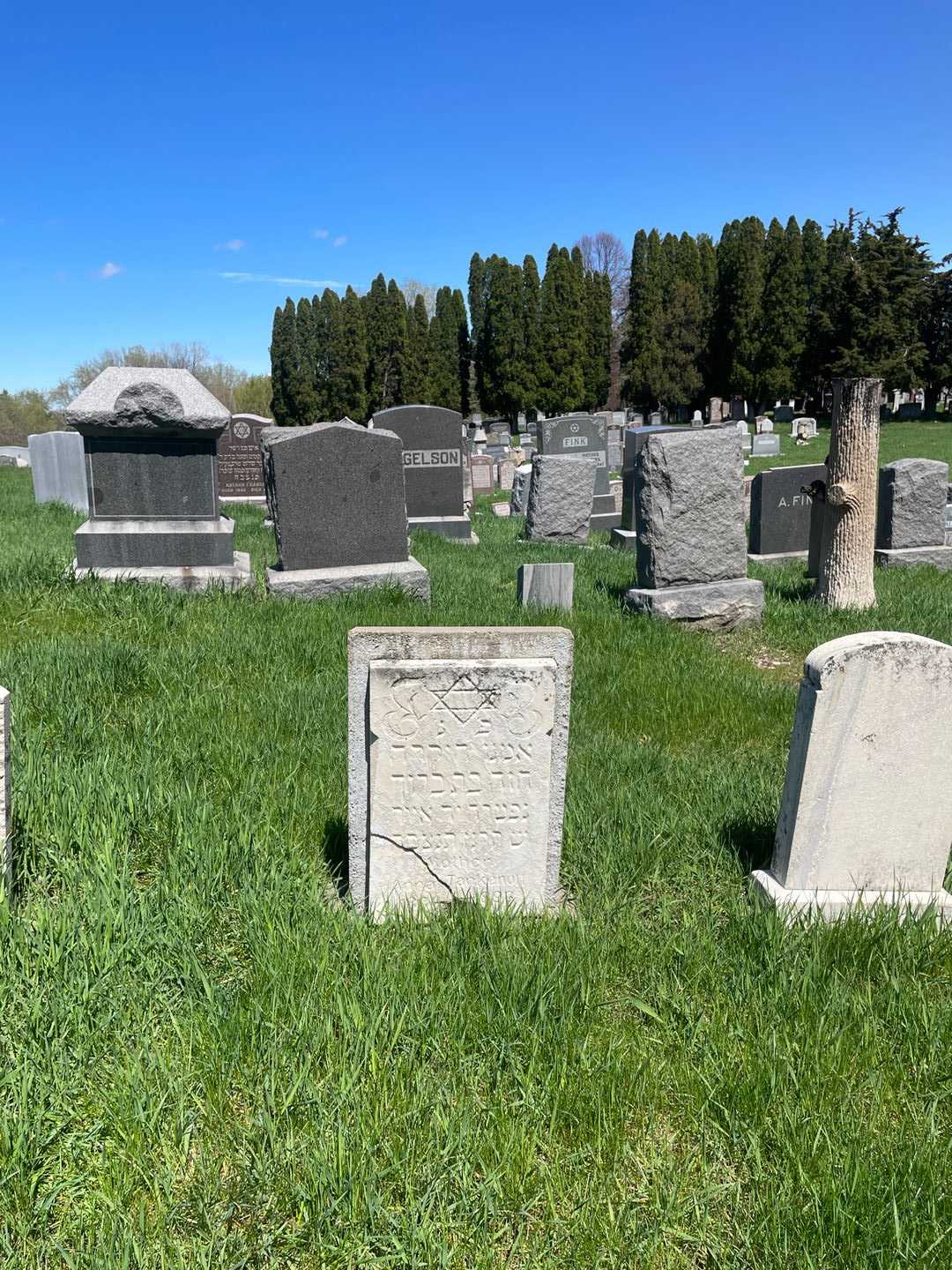 Anna Tankenoff's grave. Photo 2