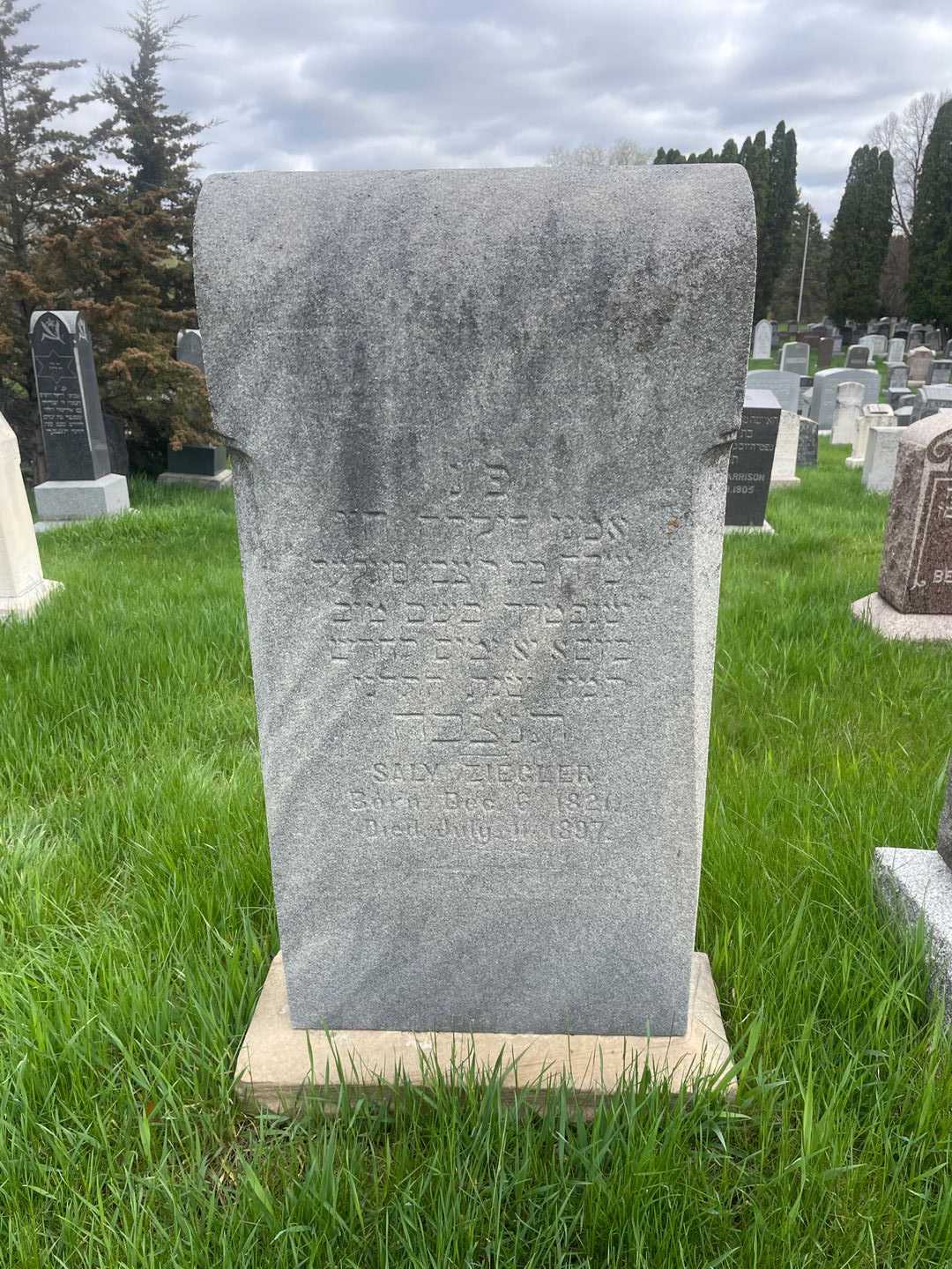 Saly Ziegler's grave. Photo 1