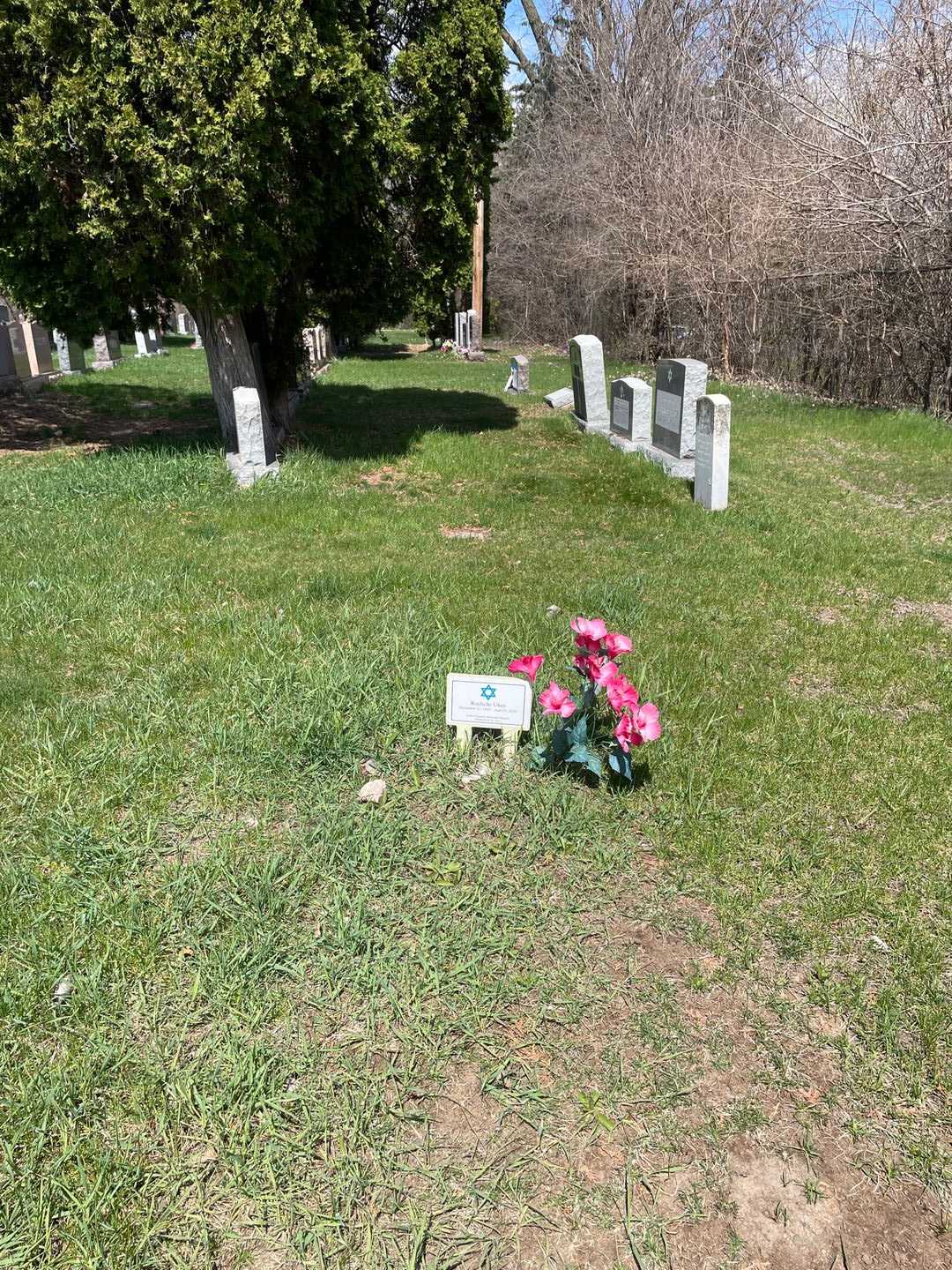 Rochelle Ukes's grave. Photo 2
