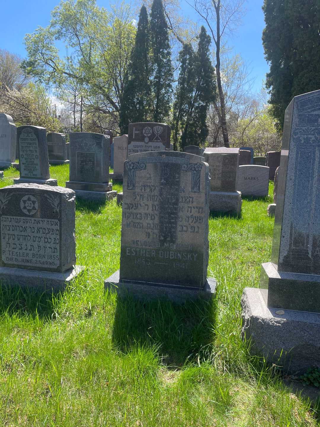 Esther Dubinsky's grave. Photo 2