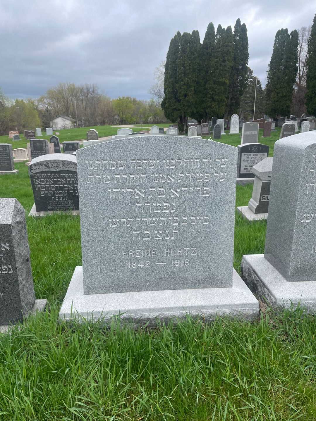 Freide Hertz's grave. Photo 2