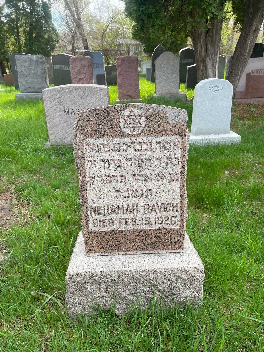 Nehamah Ravich's grave. Photo 1