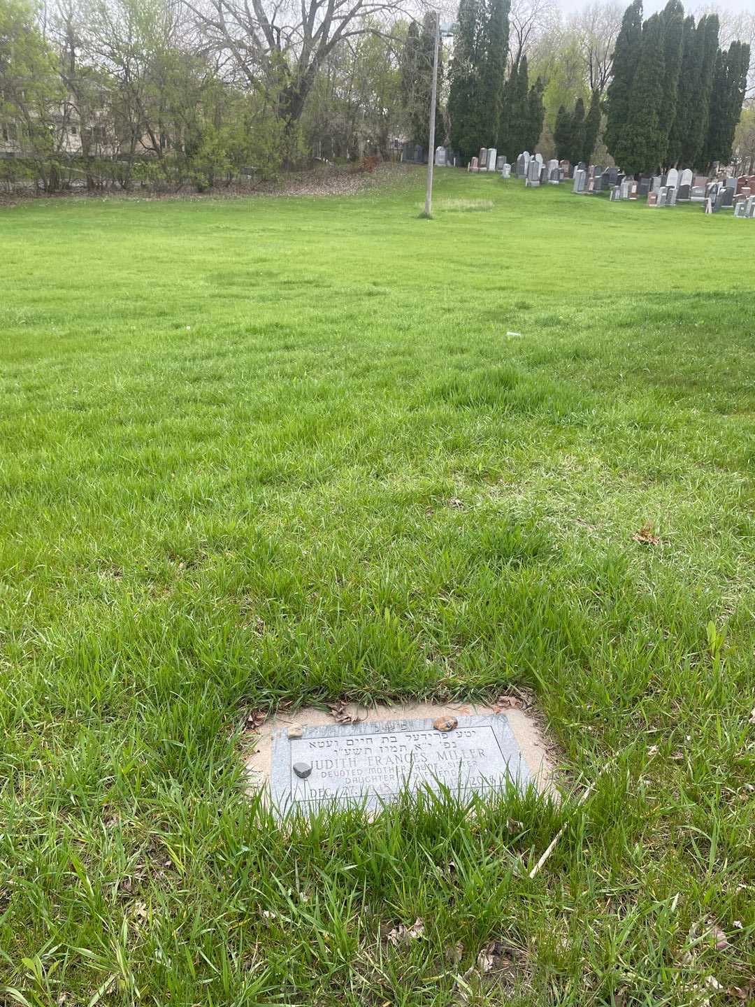 Estelle Baldinger's grave. Photo 4