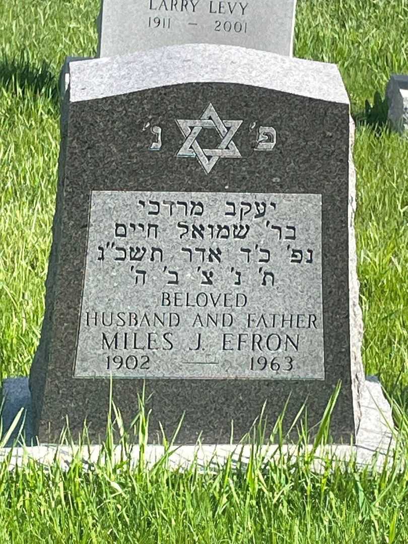 Miles J. Efron's grave. Photo 1