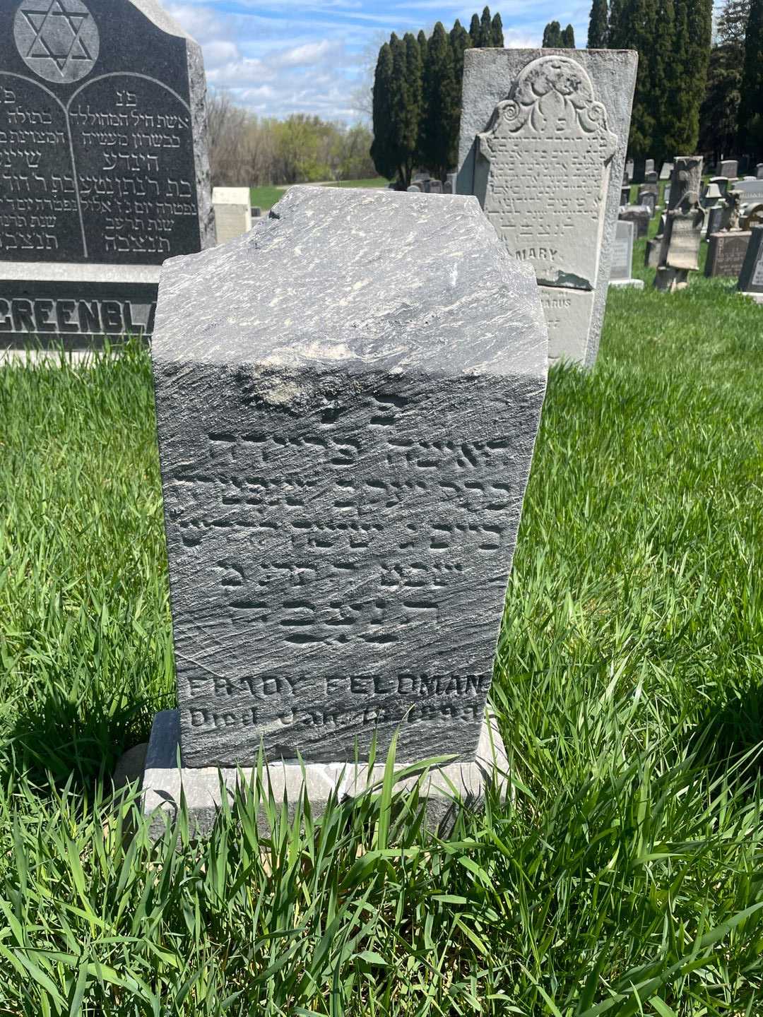 Frady Feldman's grave. Photo 1