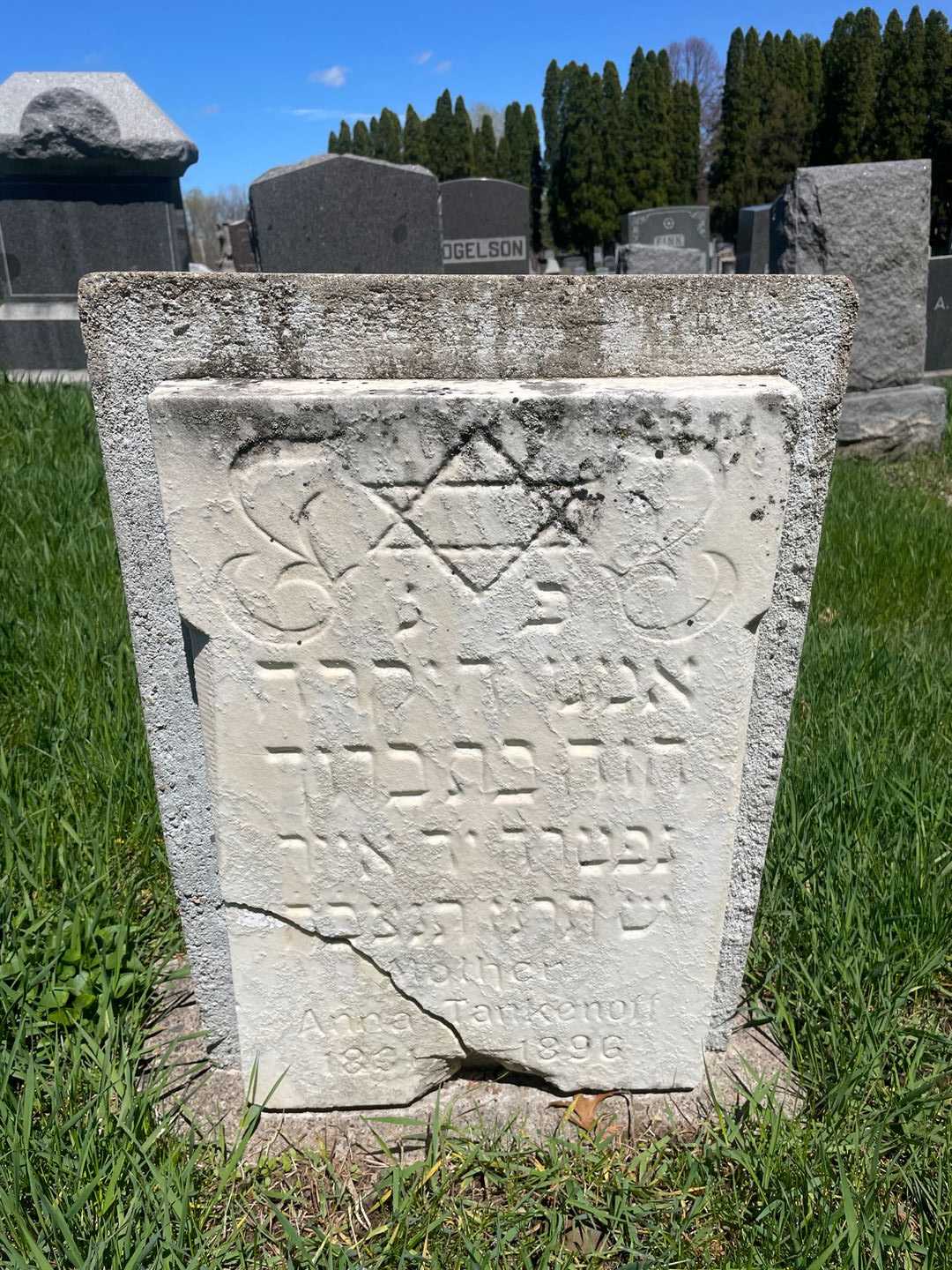 Anna Tankenoff's grave. Photo 1