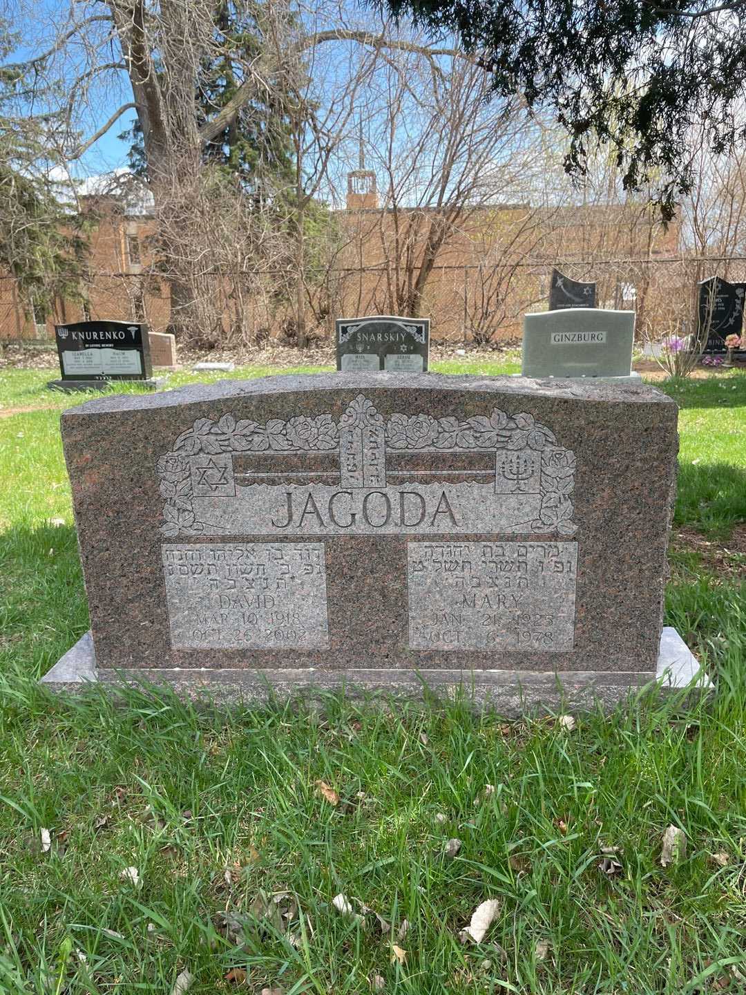 David Jagoda's grave. Photo 1