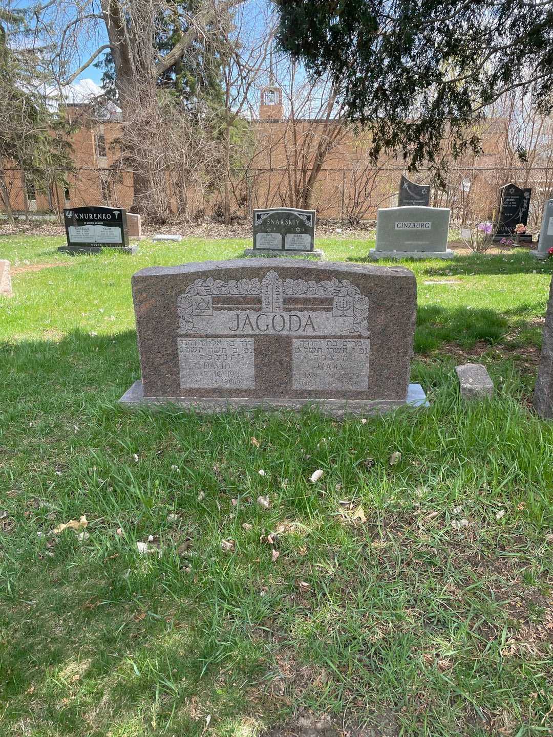 David Jagoda's grave. Photo 2