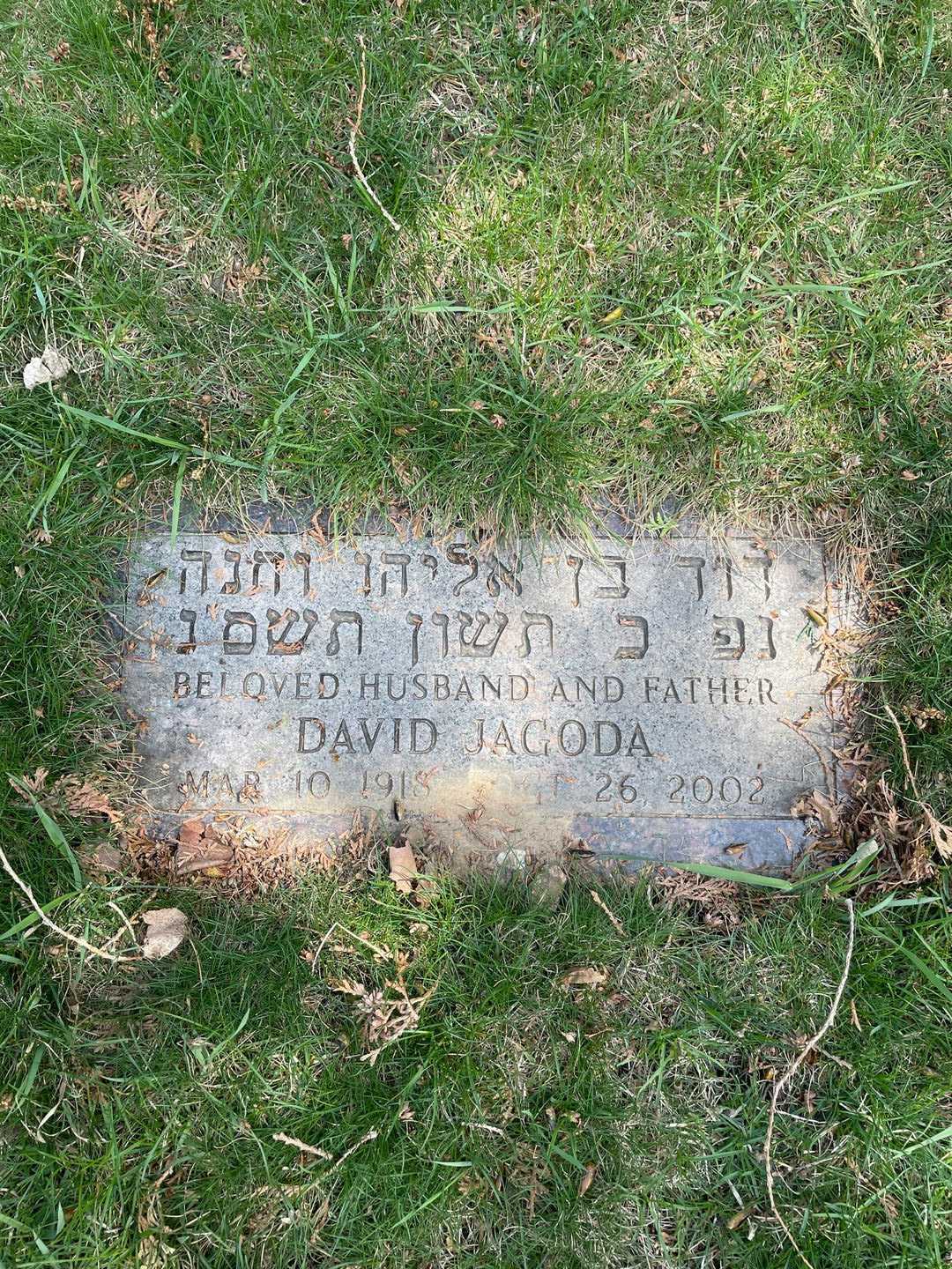 David Jagoda's grave. Photo 3