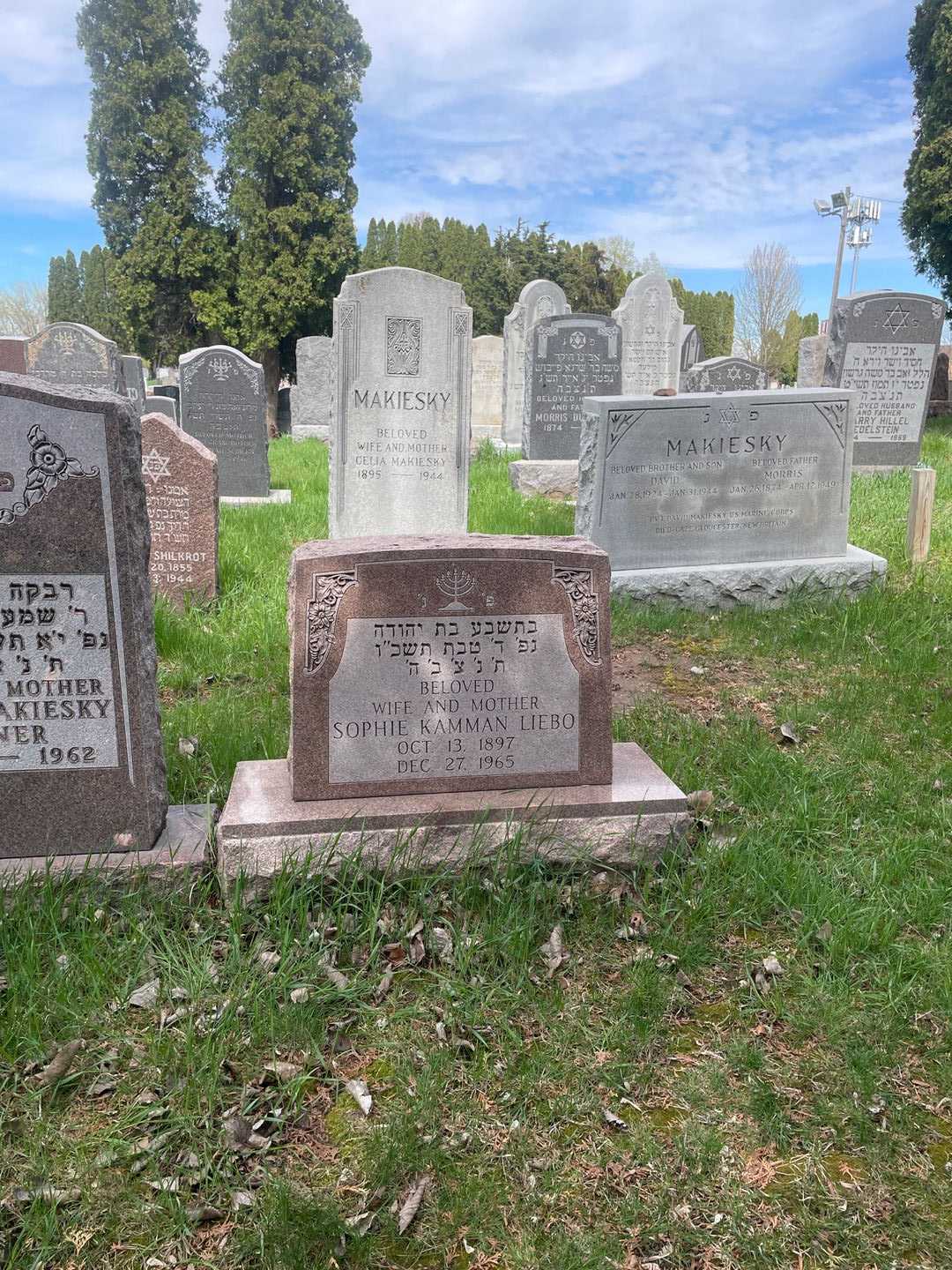 Sophie Kamman Liebo's grave. Photo 2