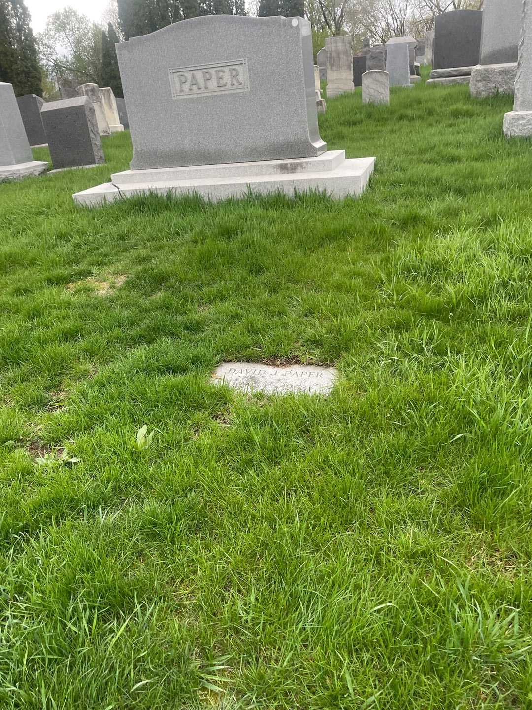 David J. Paper's grave. Photo 2