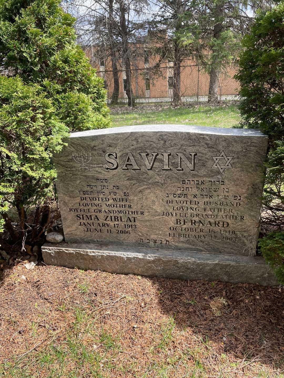 Sima Ziblat Savin's grave. Photo 1