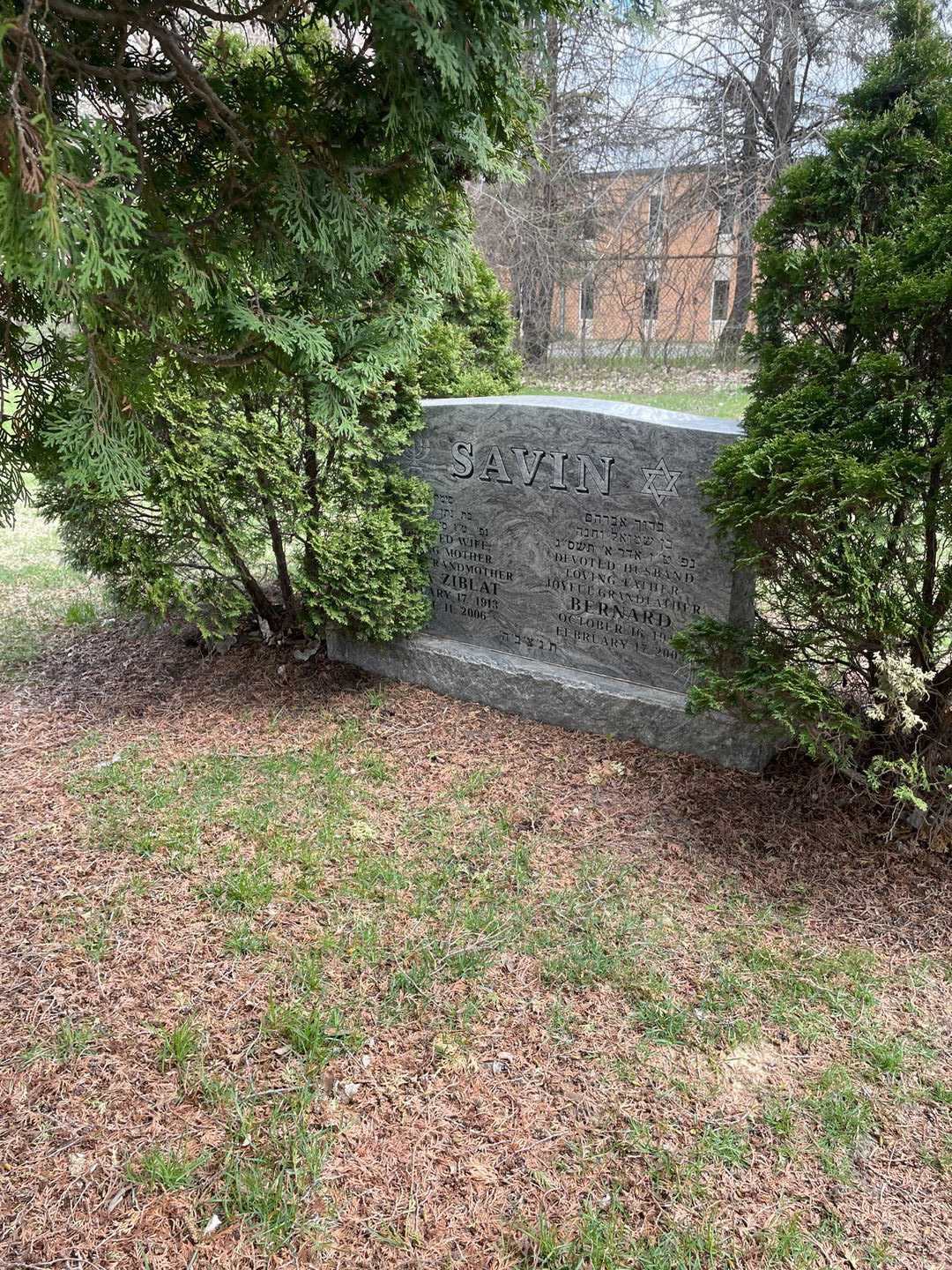 Sima Ziblat Savin's grave. Photo 2