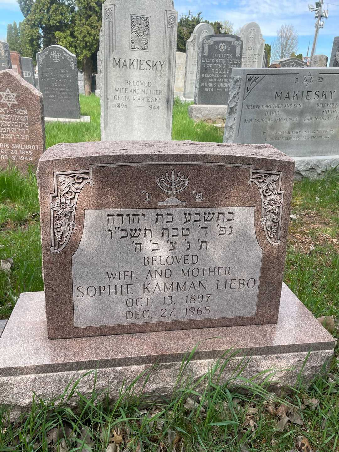 Sophie Kamman Liebo's grave. Photo 1