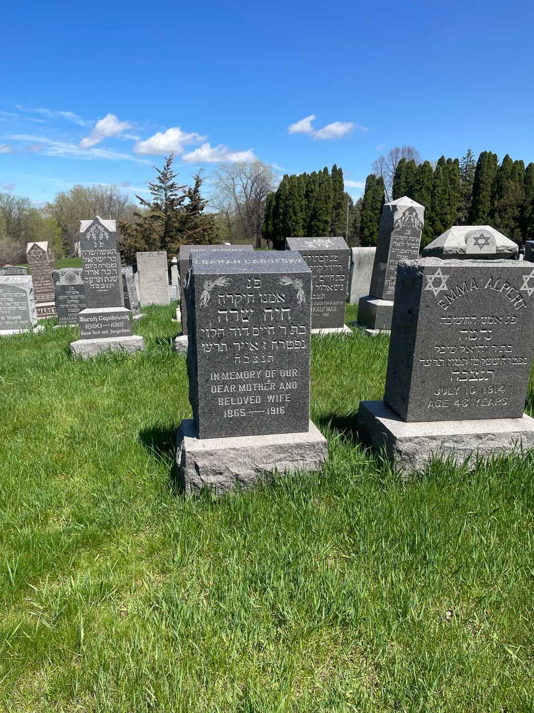 I. Sarah Labofsky's grave. Photo 2