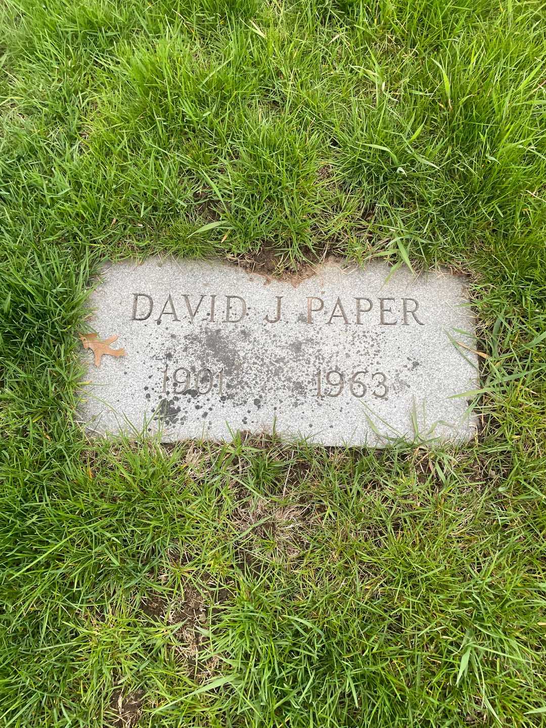 David J. Paper's grave. Photo 3