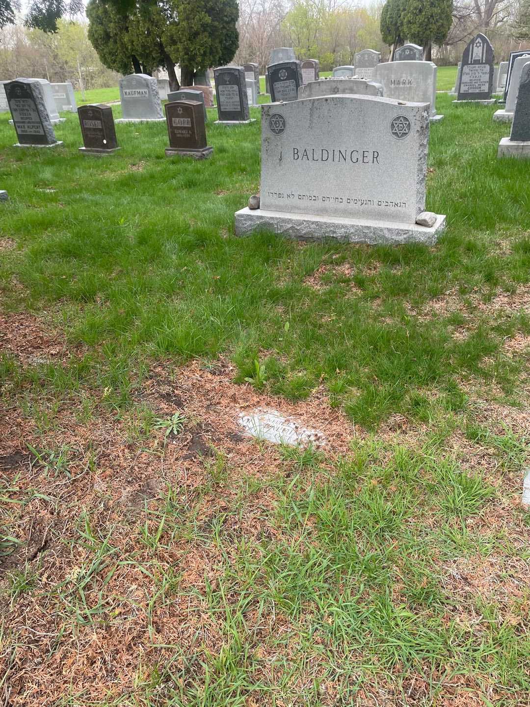 Henry Baldinger's grave. Photo 2
