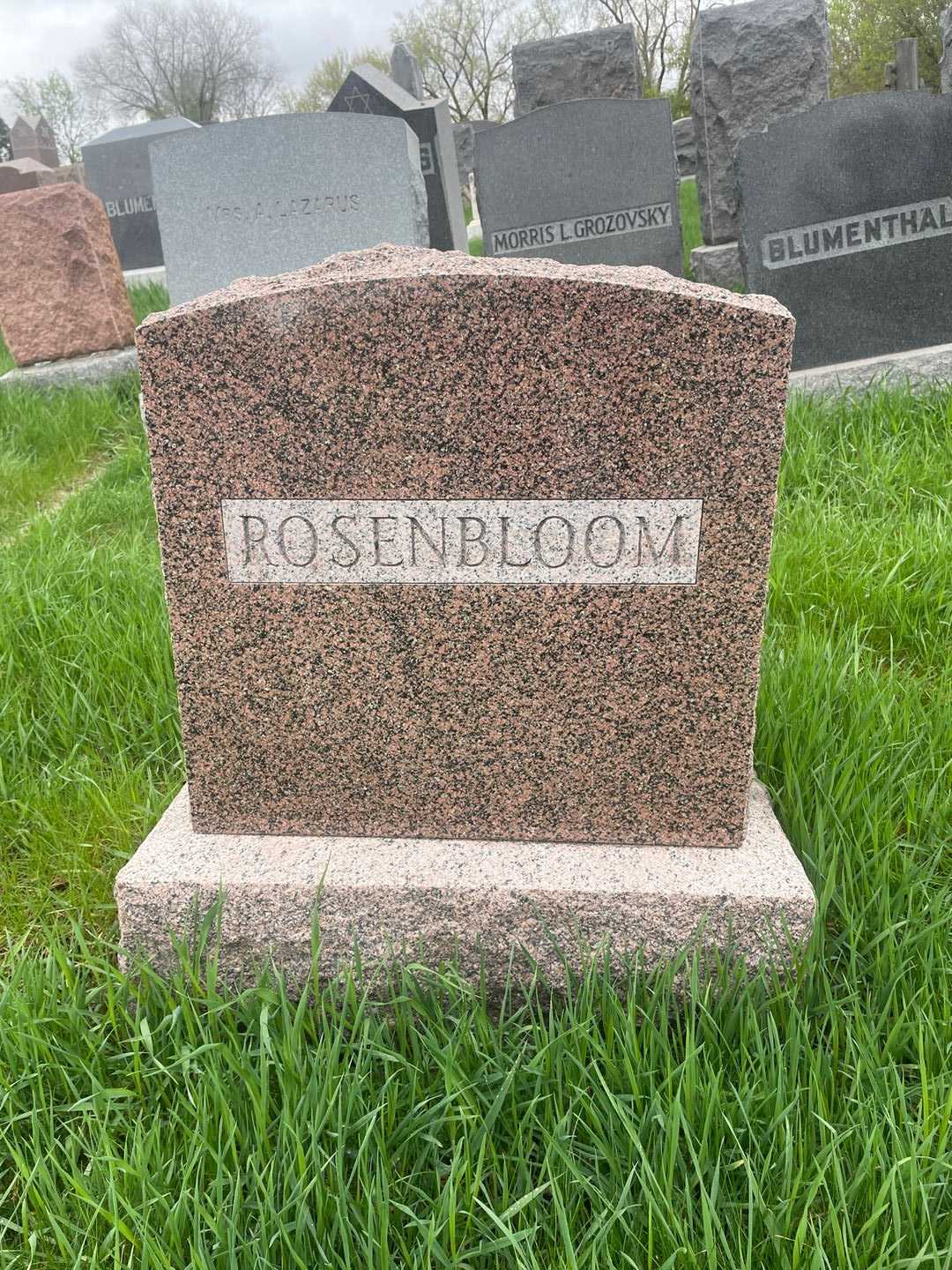 Reva M. Paymar Rosenbloom's grave. Photo 3