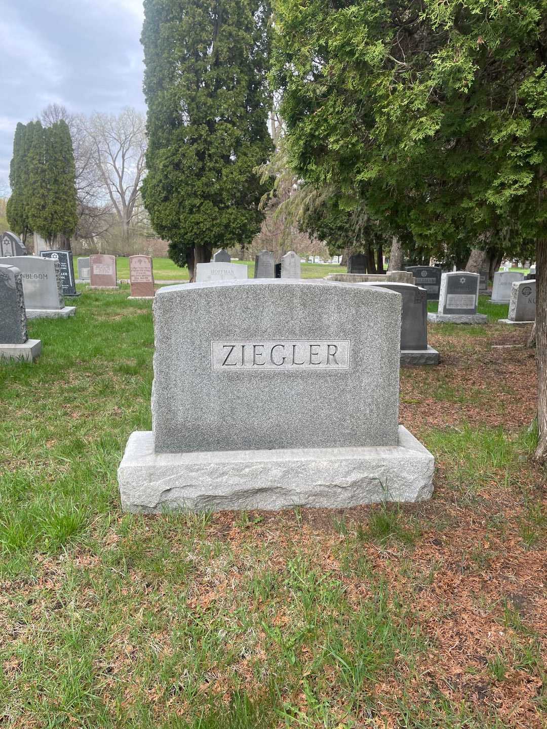 Rosa Ziegler's grave. Photo 1