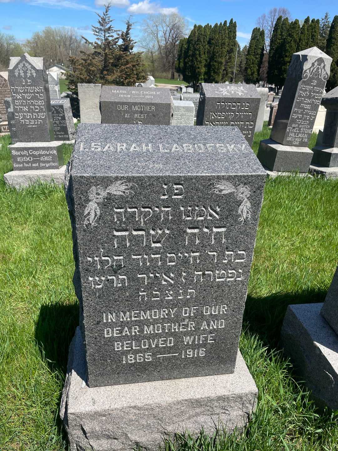 I. Sarah Labofsky's grave. Photo 3