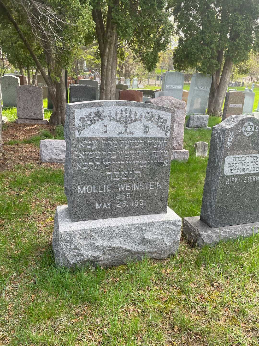 Mollie Weinstein's grave. Photo 2