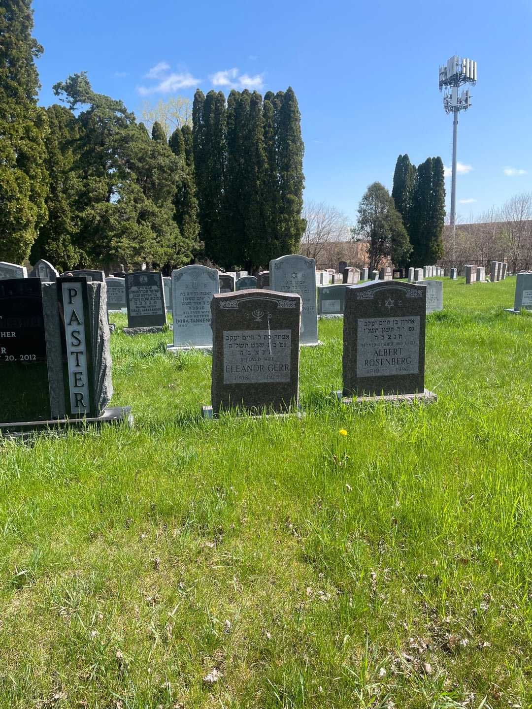 Eleanor Gerr's grave. Photo 2