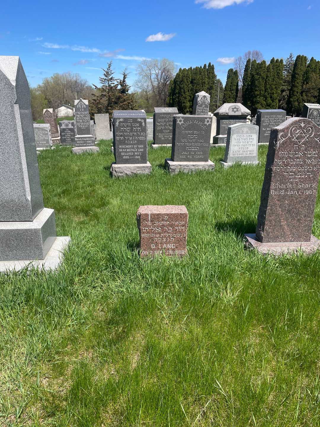 D. Lang's grave. Photo 2