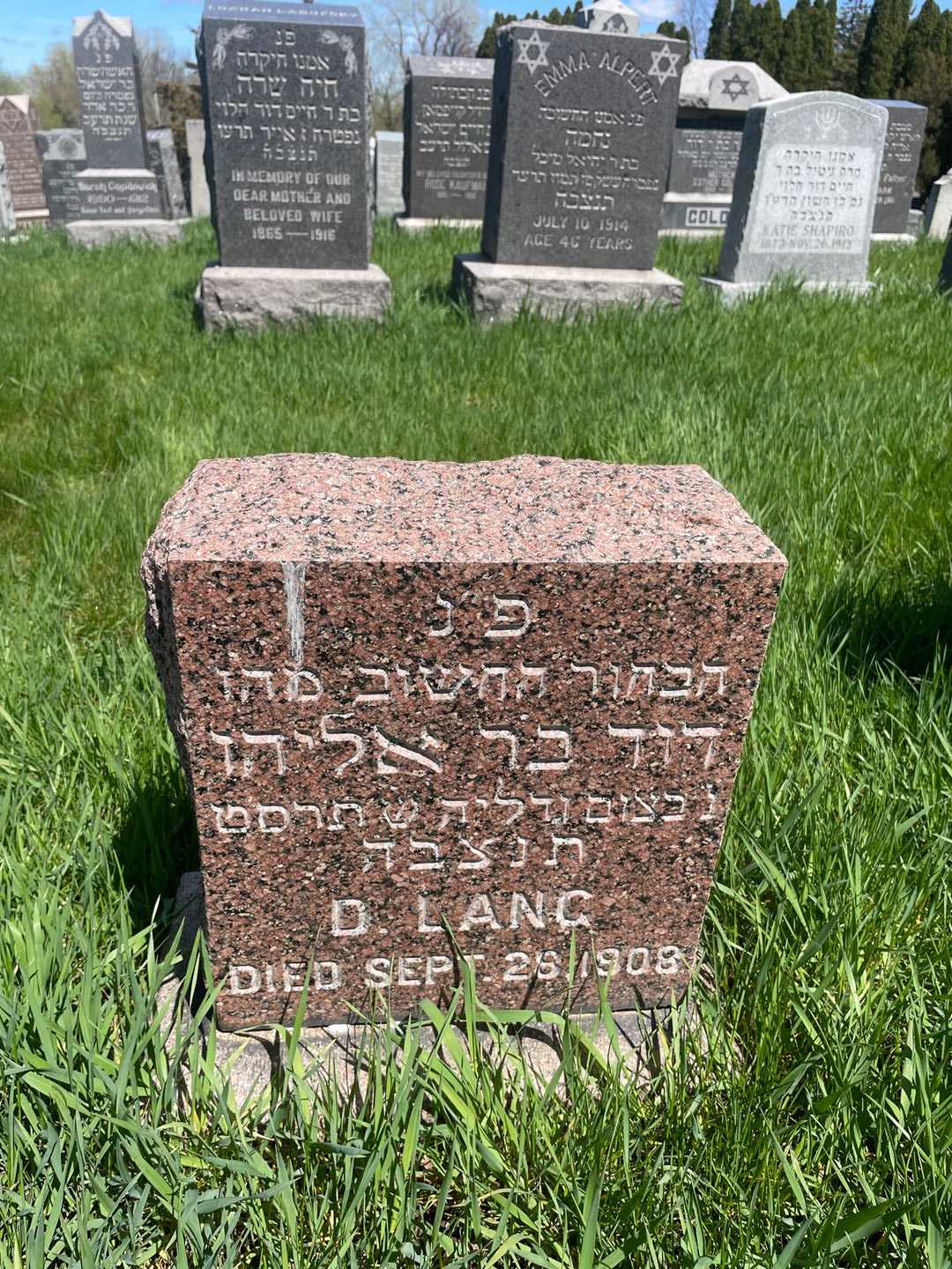 D. Lang's grave. Photo 1
