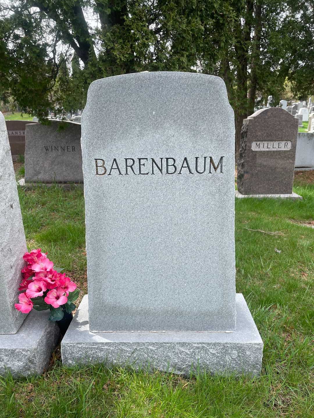 Anna Barenbaum's grave. Photo 3