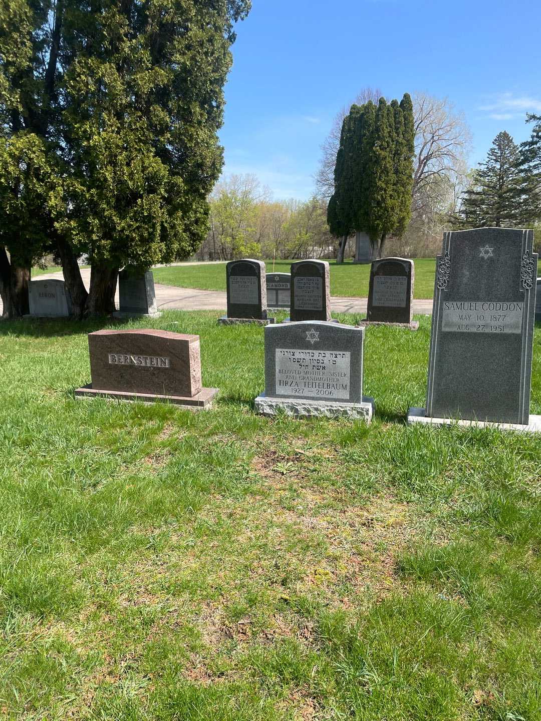 Tirza Teitelbaum's grave. Photo 2