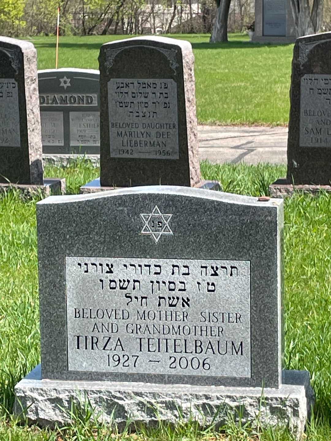 Tirza Teitelbaum's grave. Photo 1