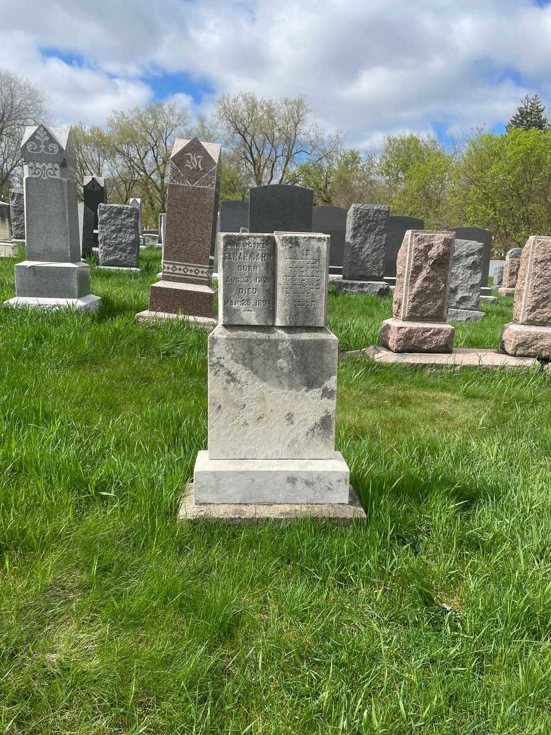 Sarah Cahn's grave. Photo 2