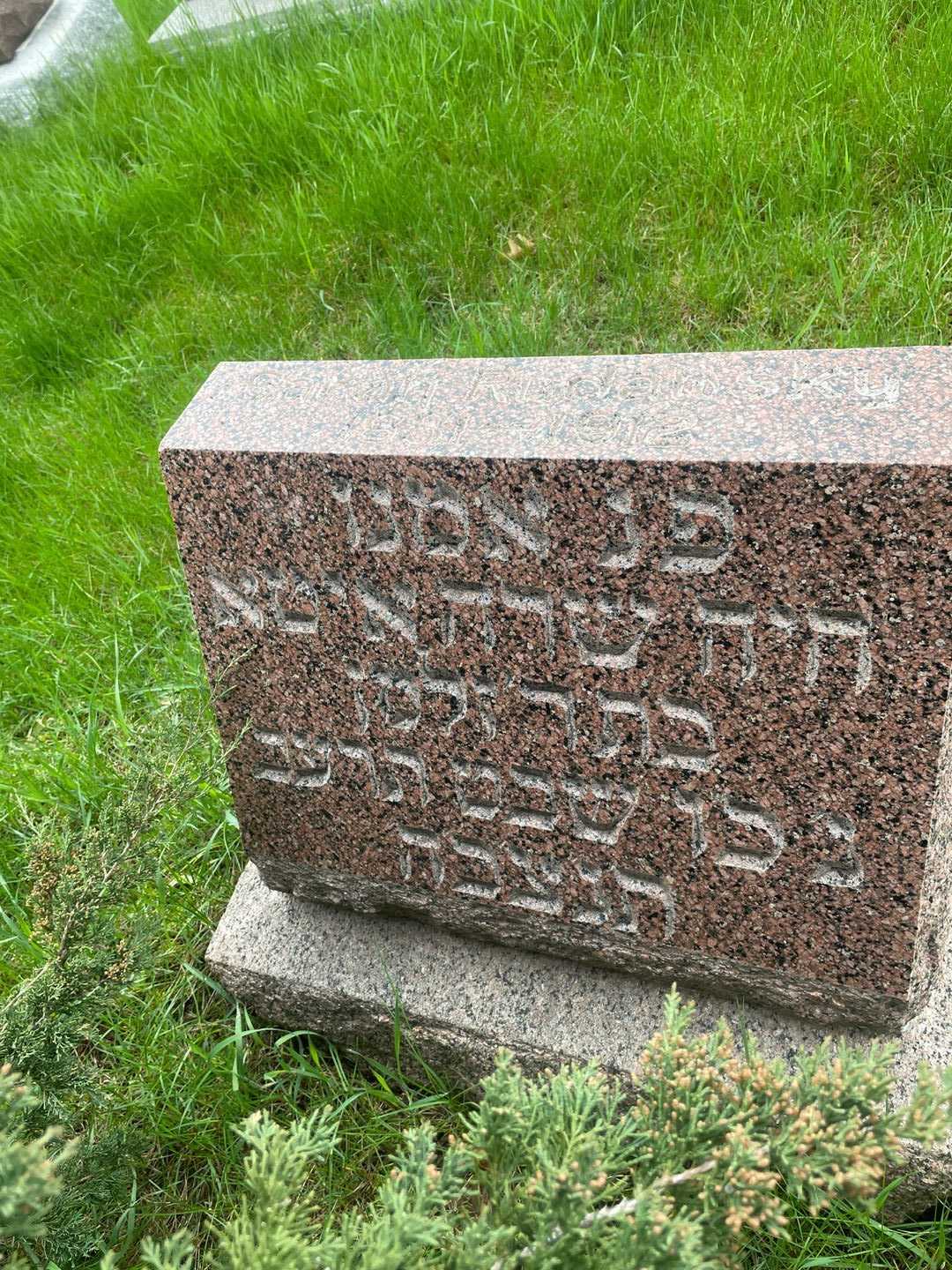 Sarah Radawski's grave. Photo 3