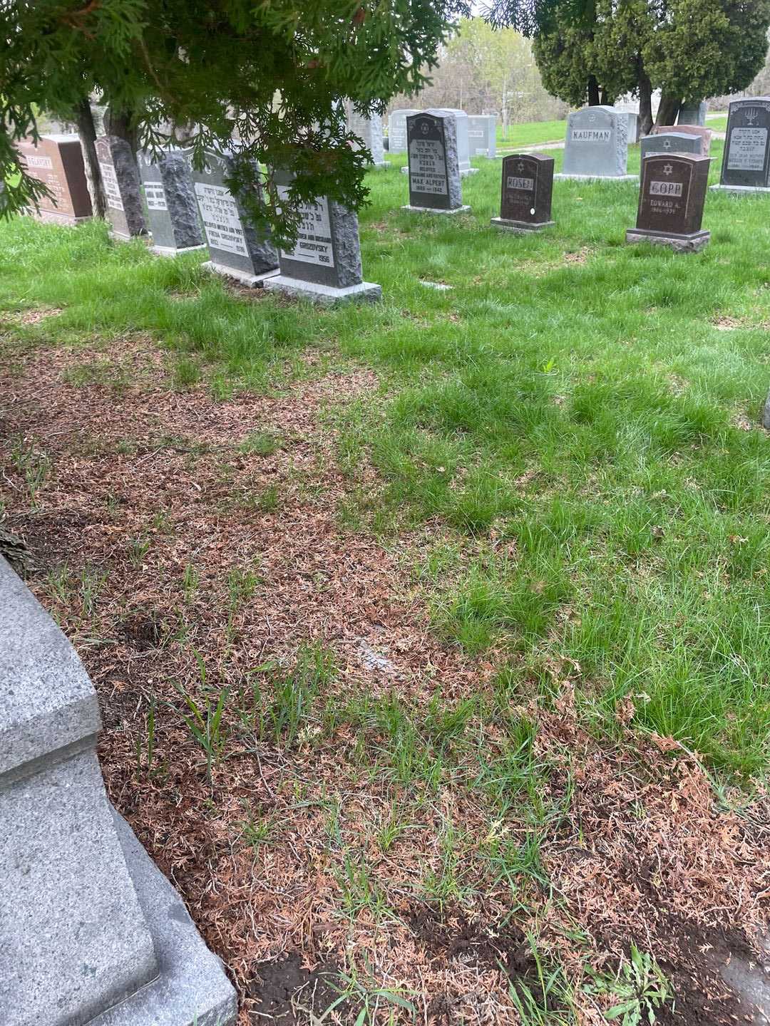 Ethel S. Baldinger's grave. Photo 2