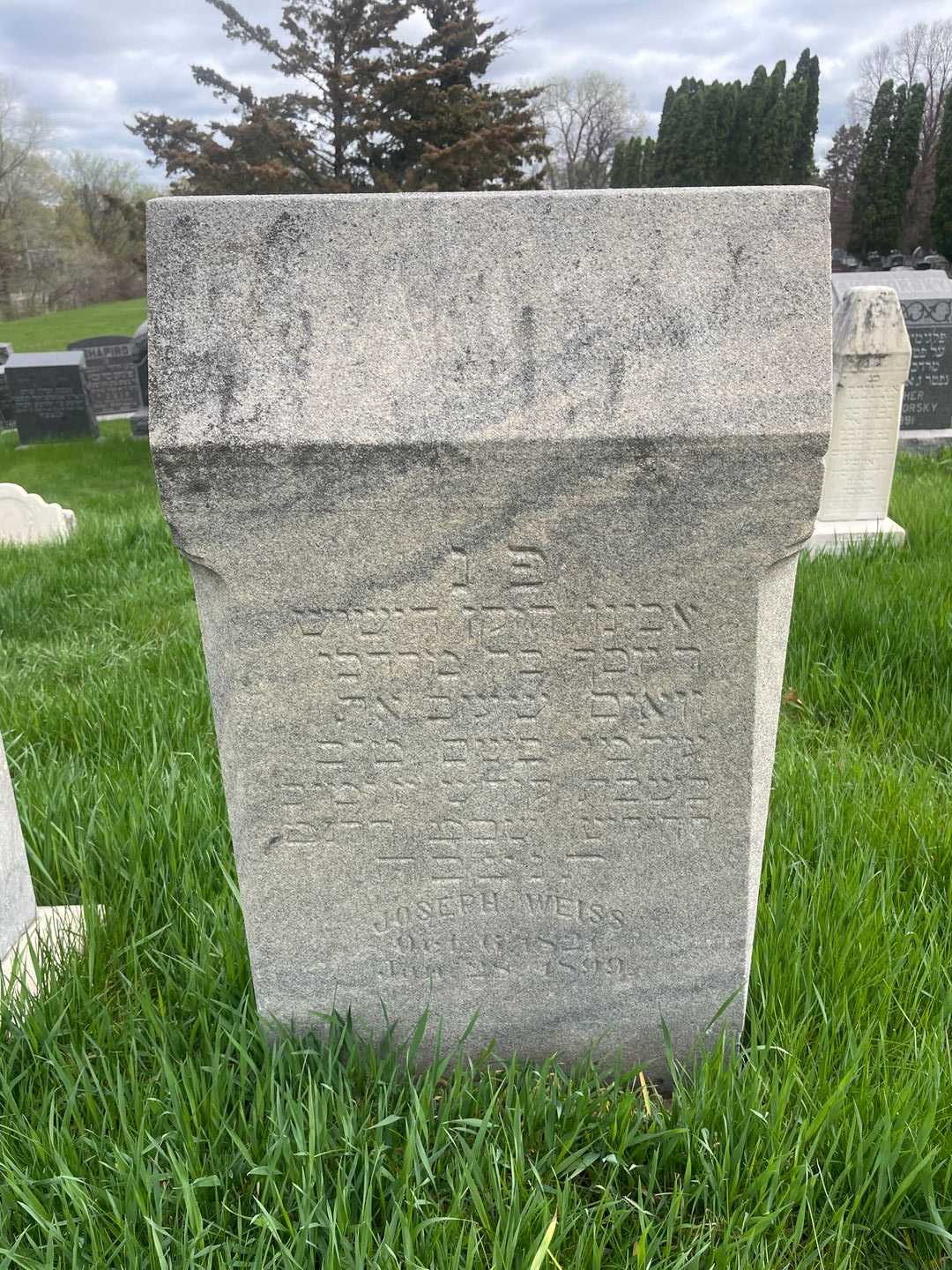 Joseph Weiss's grave. Photo 1