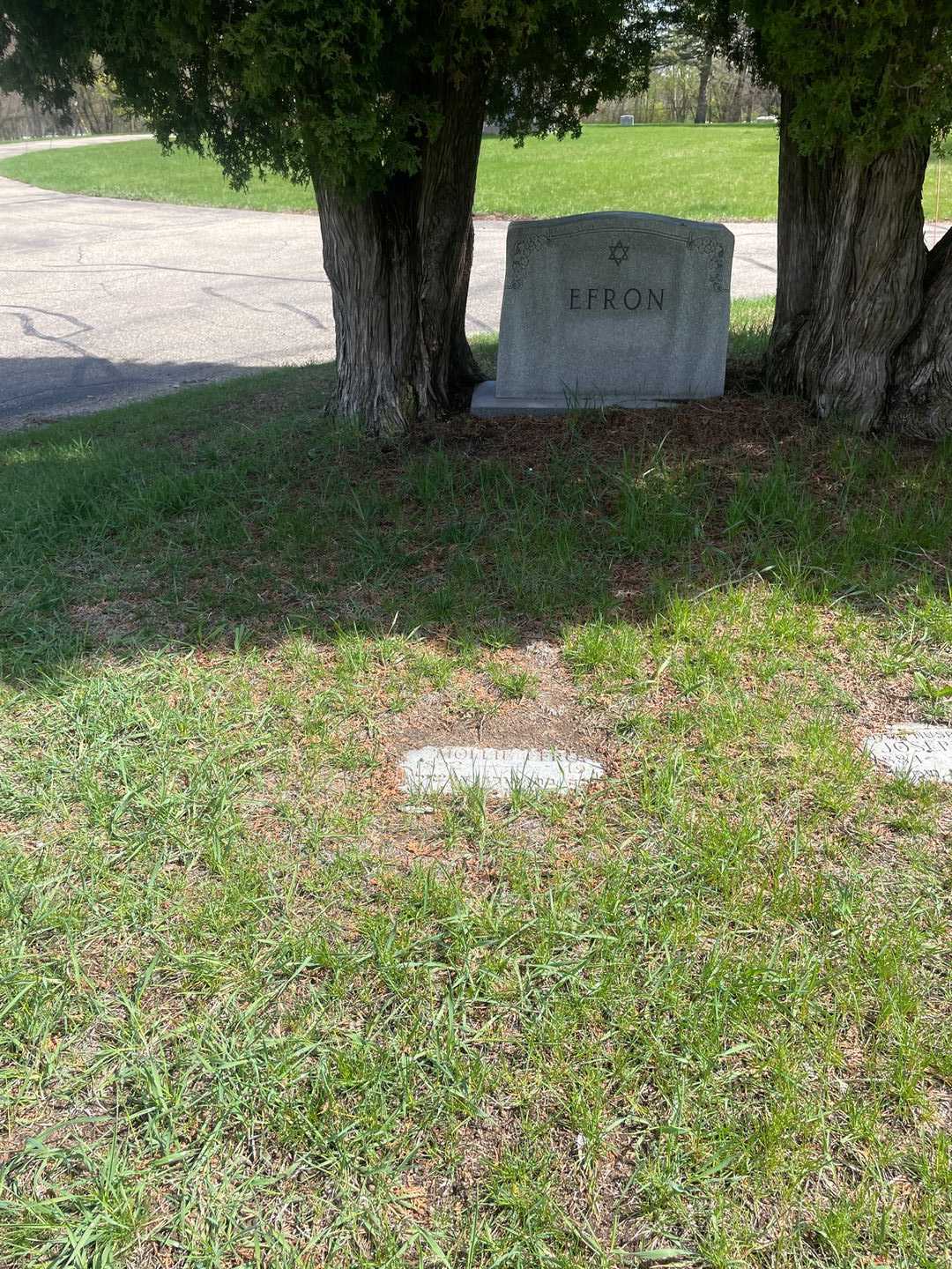 Mollie Efron's grave. Photo 2