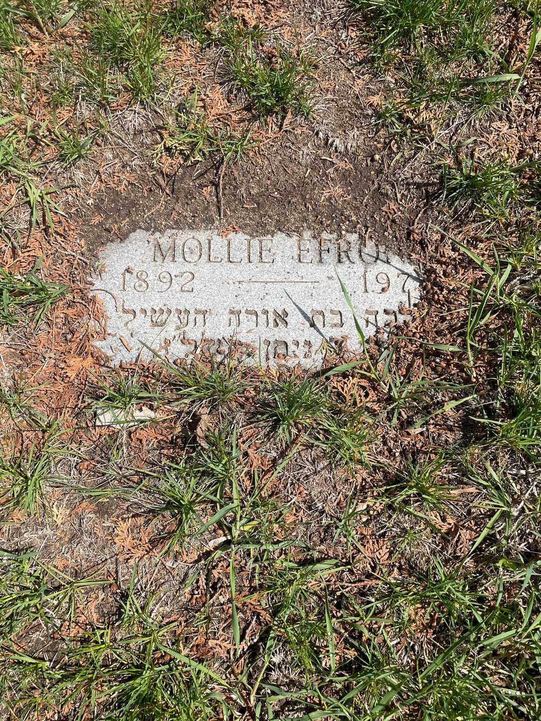 Mollie Efron's grave. Photo 3