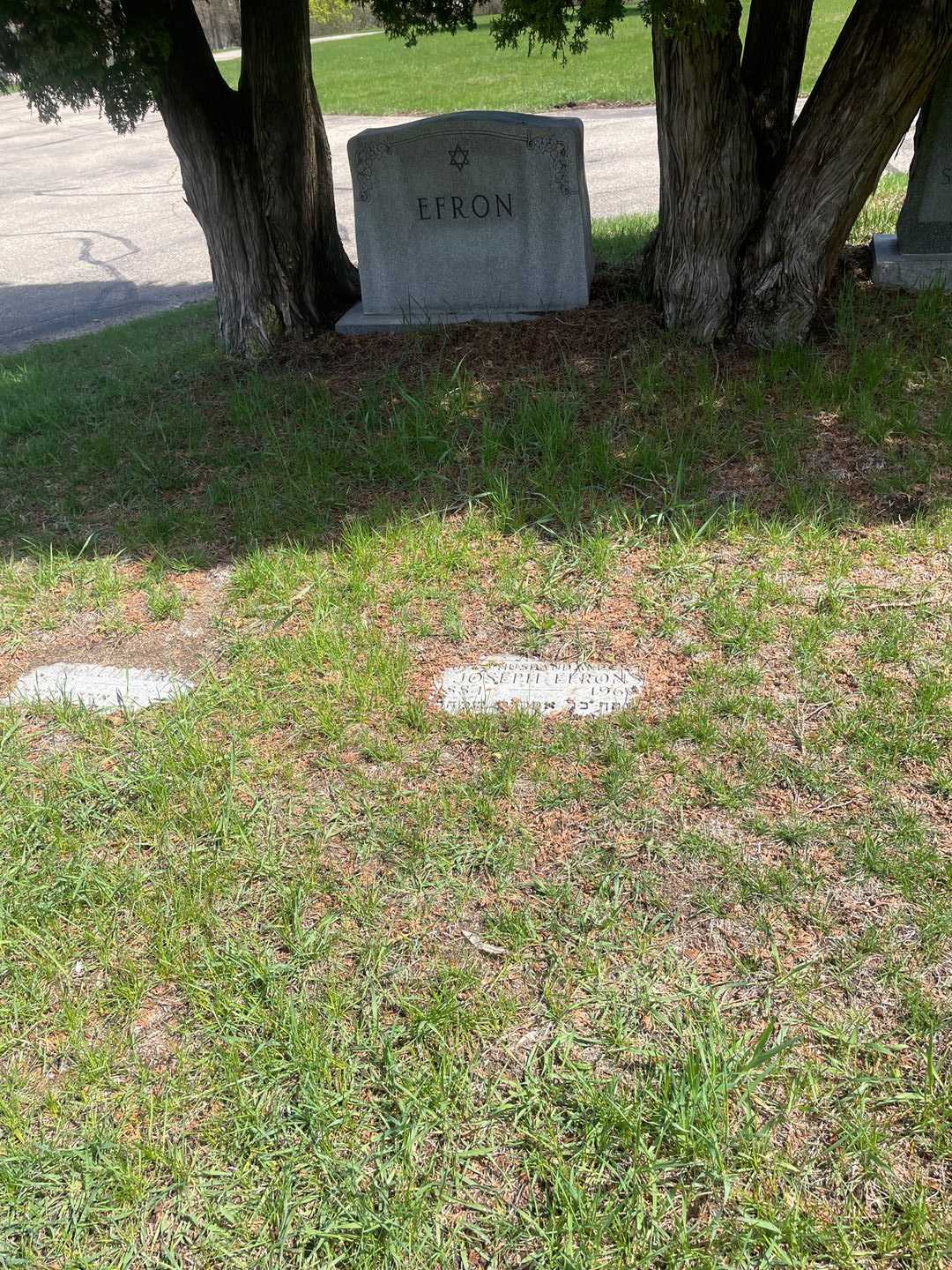 Joseph Efron's grave. Photo 2