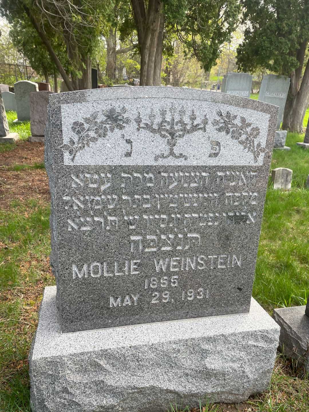 Mollie Weinstein's grave. Photo 1
