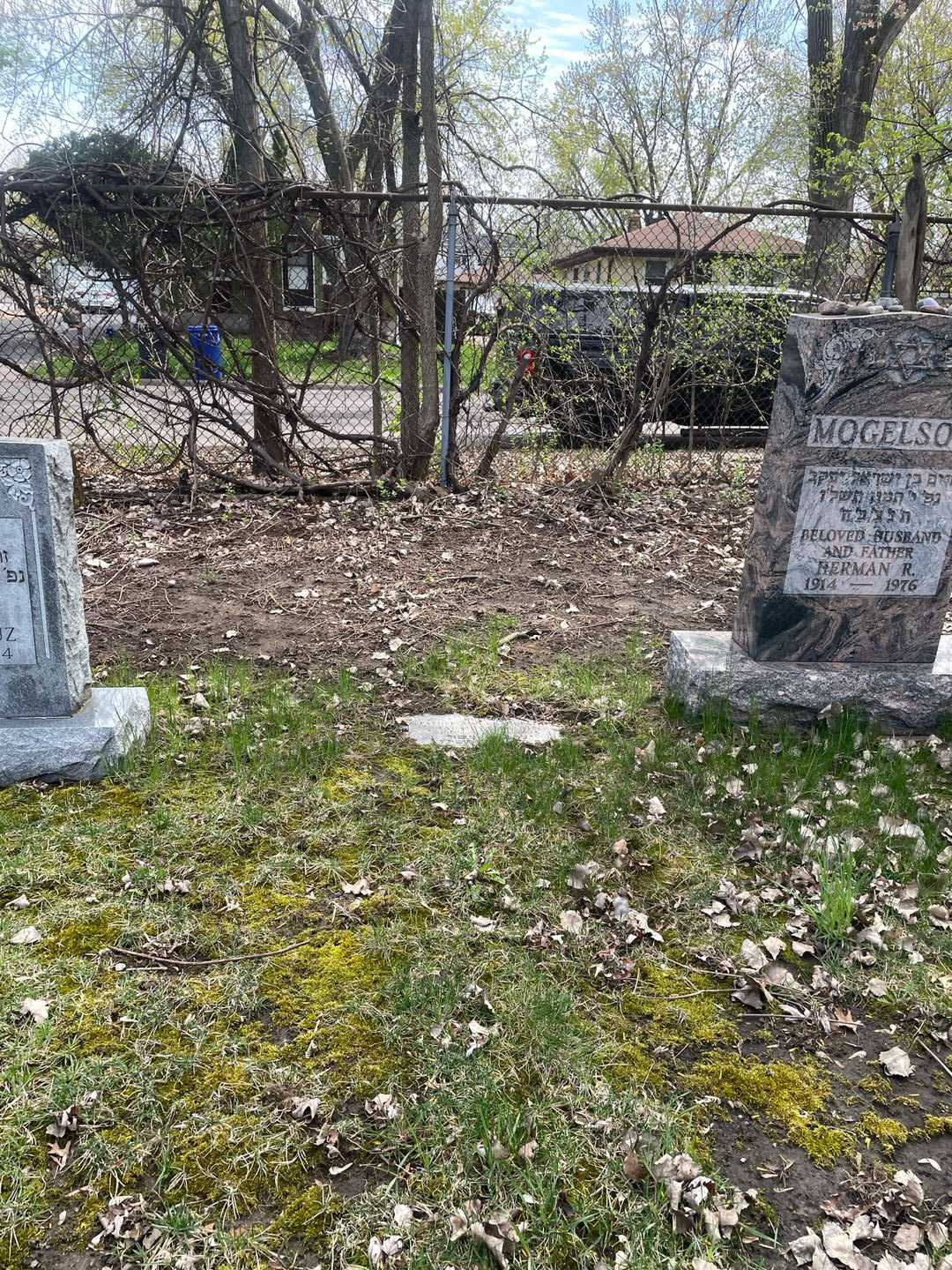 Jacob J. Dubin's grave. Photo 2