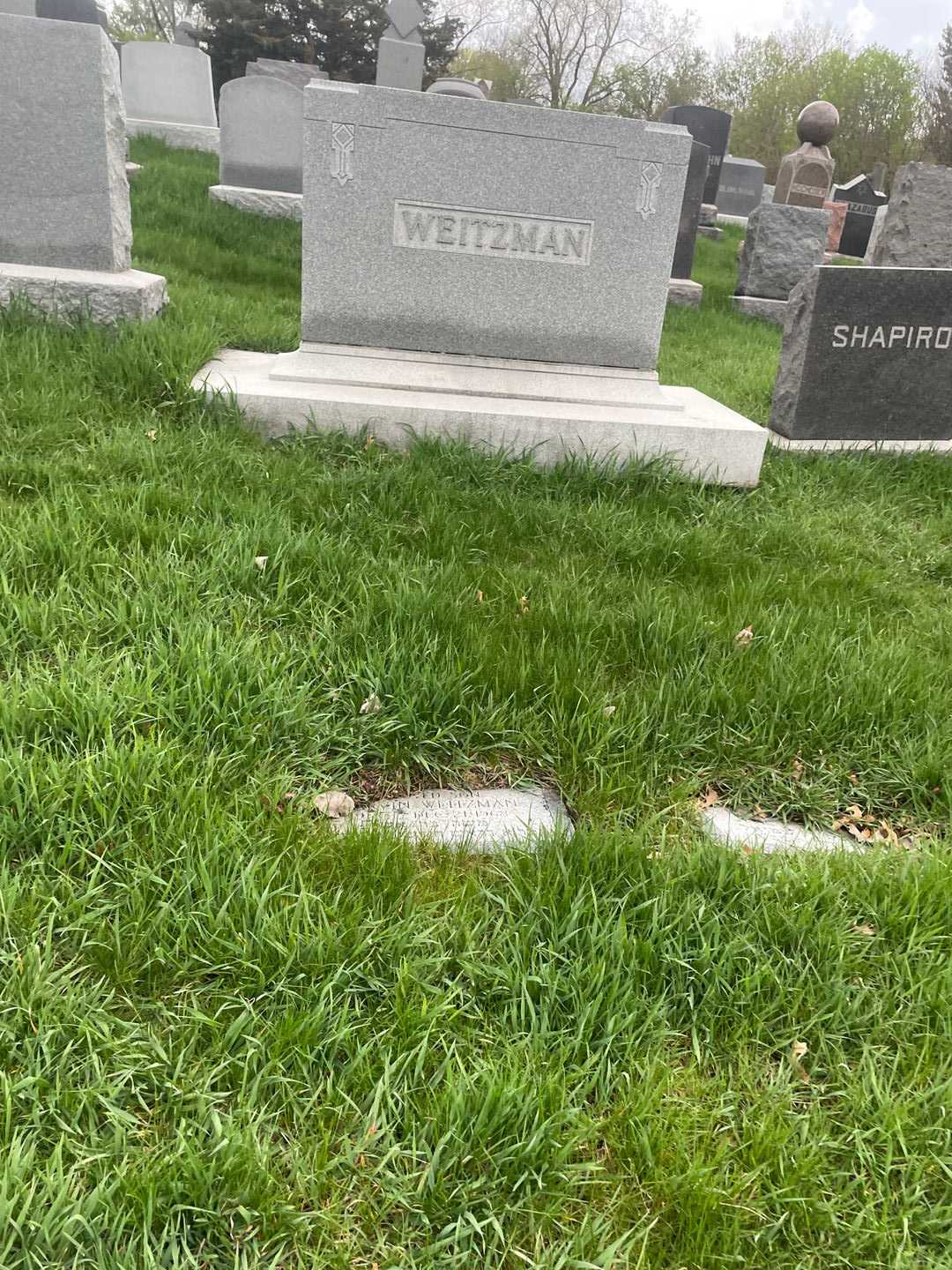 Marvin Weitzman's grave. Photo 2